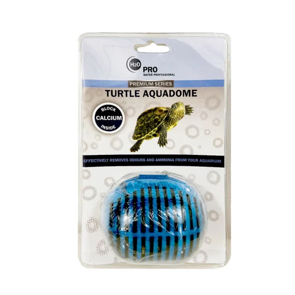 Aquadome Turtle