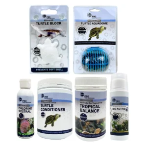 Turtle Essentials Pack Small