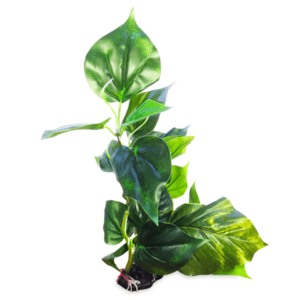 Anubius Silk Terrarium Plant Large