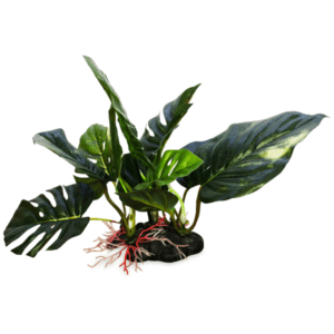 Anubius Silk Terrarium Plant Small