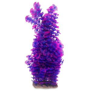 plastic_plant_purple_tall