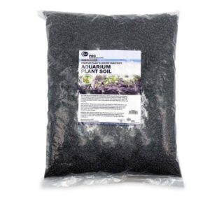plant_soil_9_litres