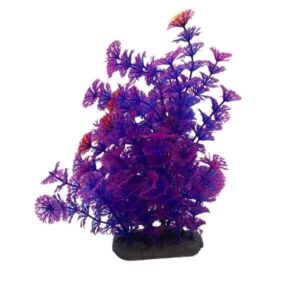 purple_plant_25cm