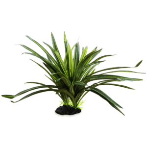 H2o Pro Spikey Bush
