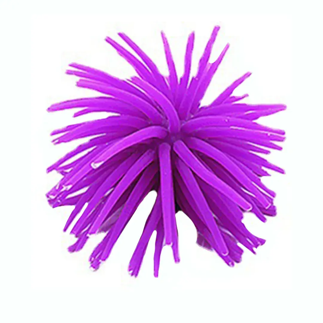 ANEMONE Aquarium Plant