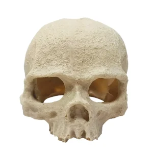 Skull Aquarium Ornament