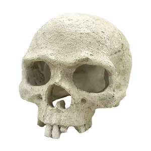 Skull Reptile Ornament_2