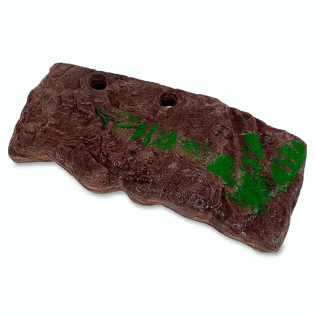 Keep Your Turtle Happy and Healthy | Buy From The Specialists