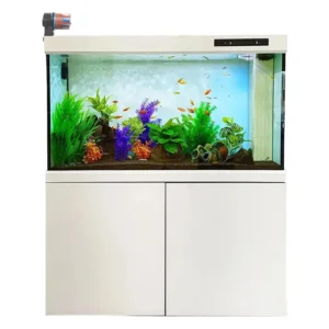 automatic fish feeder