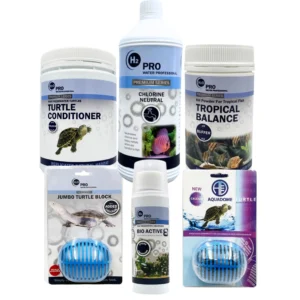 Turtle Essentials Pack Large