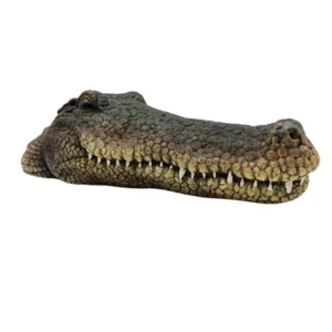 Crocodile Head Aquarium Ornament