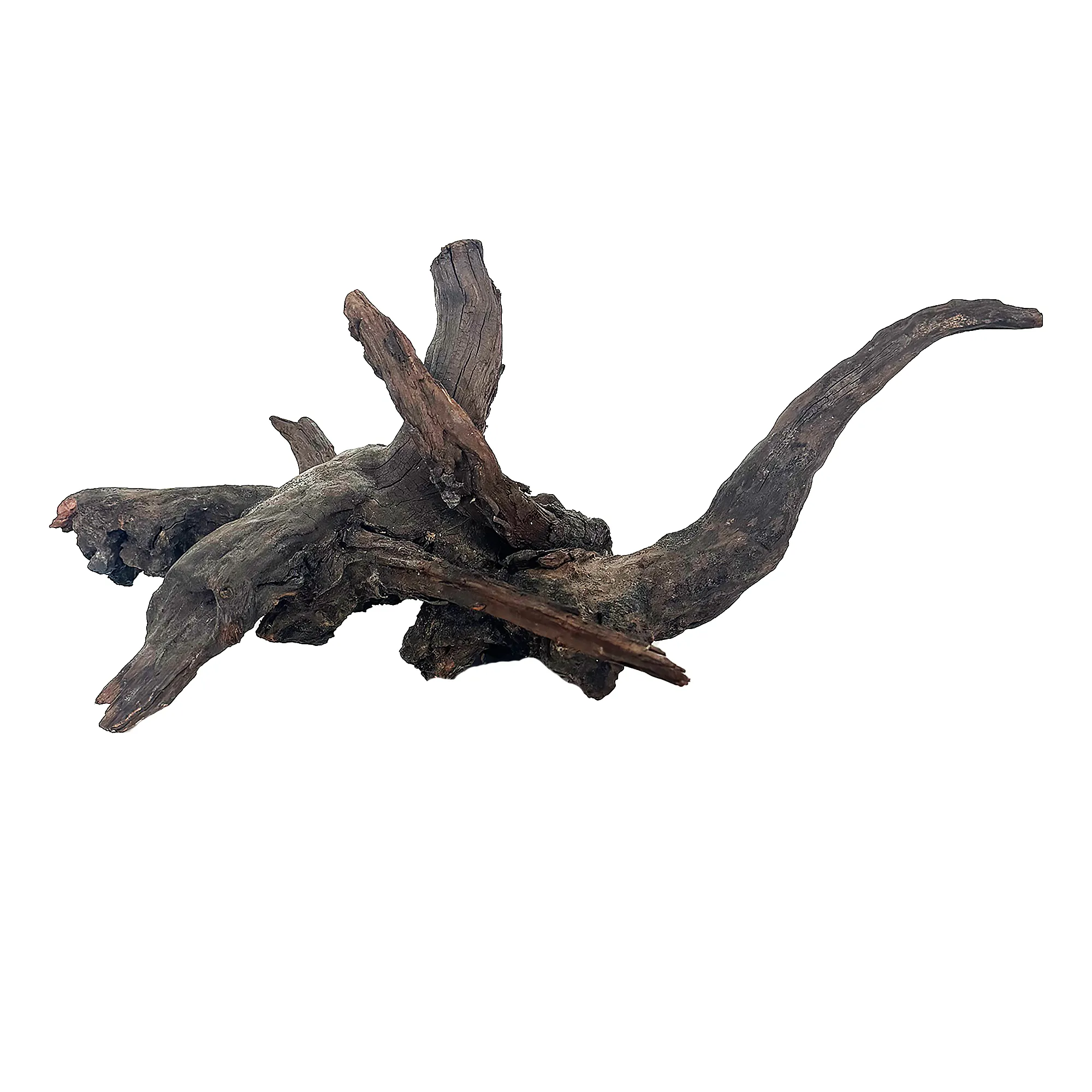 Mangrove Root Aquarium Ornament