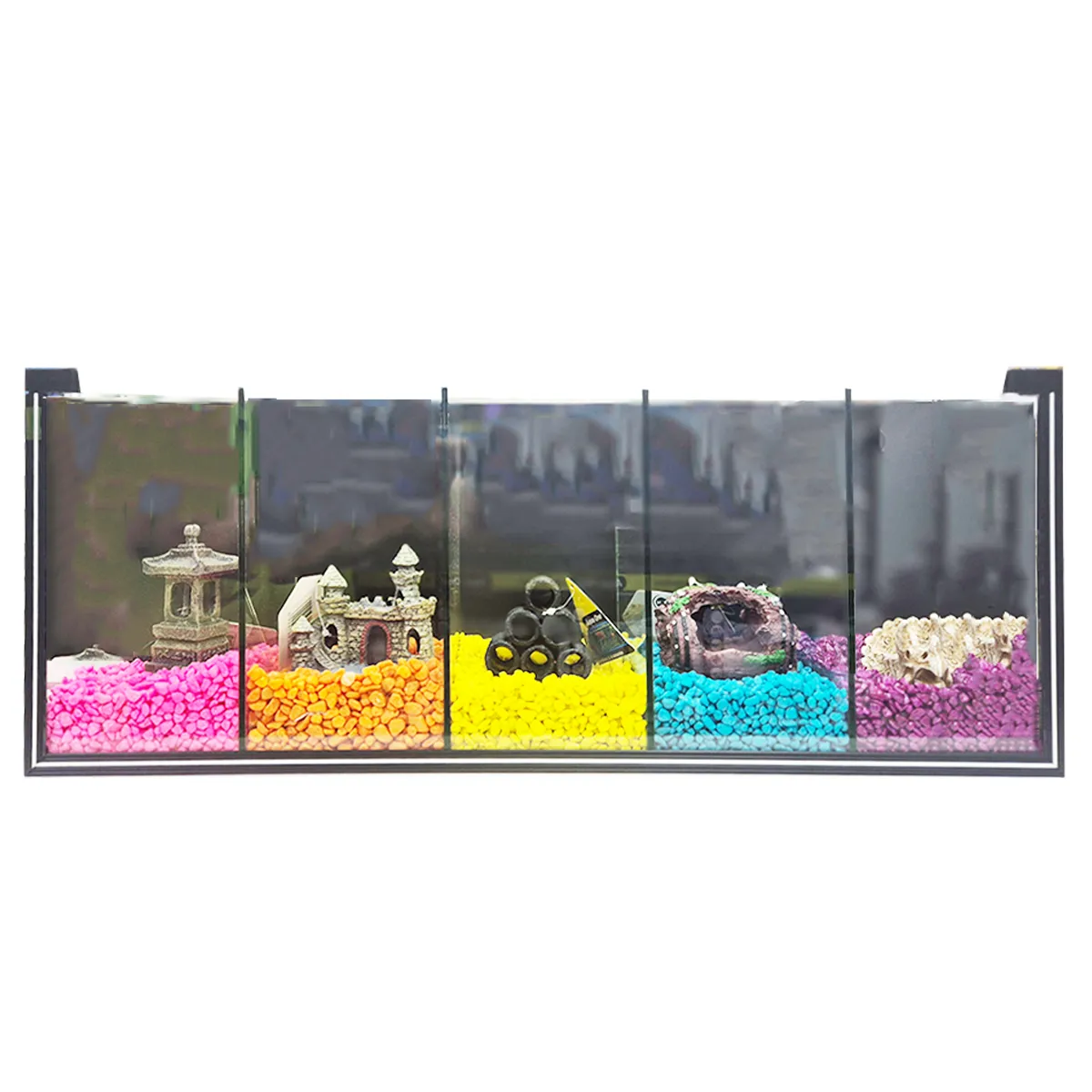 5 Bay Betta Fish Tank