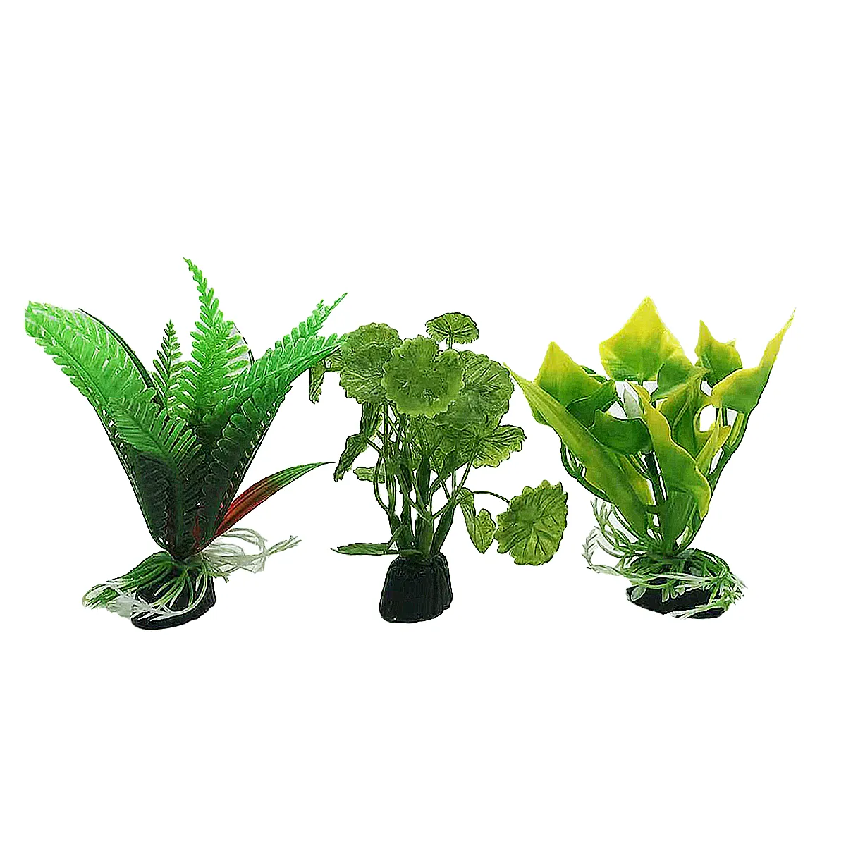 Aquarium plant 3 pack