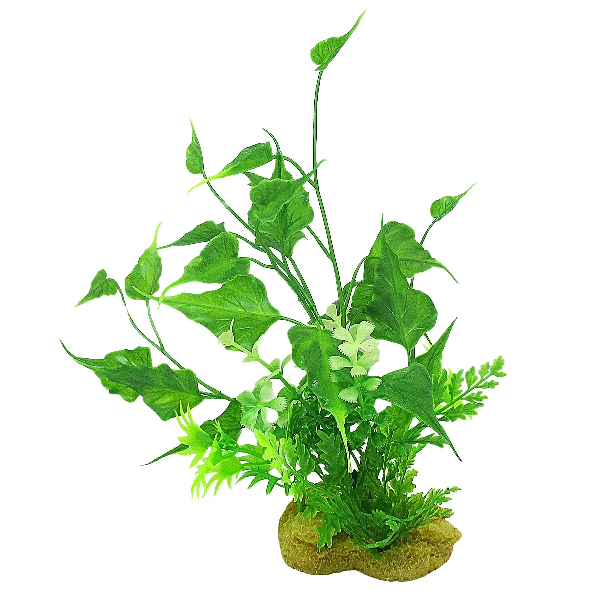Aquarium Ivy Leaf Plant in a freshwater tank – safe fish tank decor Australia