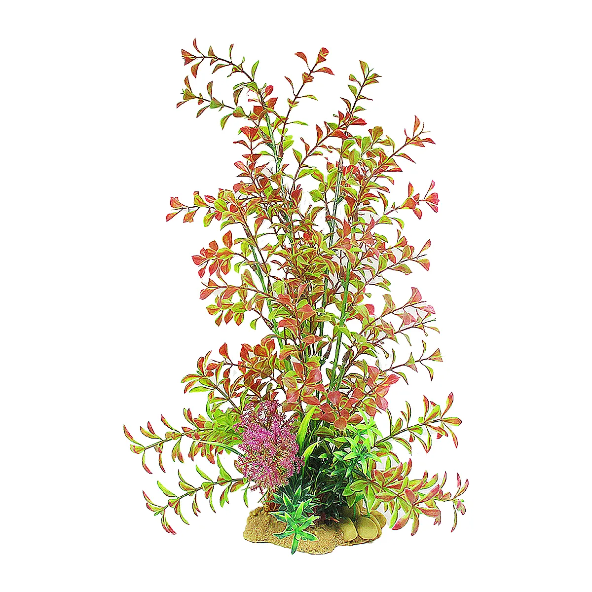 Aquarium Plant Red Tips – red-tinted plant in freshwater tank