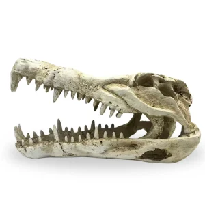 Croc Head Small Reptile Ornament_1