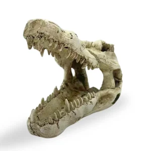 Croc Head Small Reptile Ornament_2