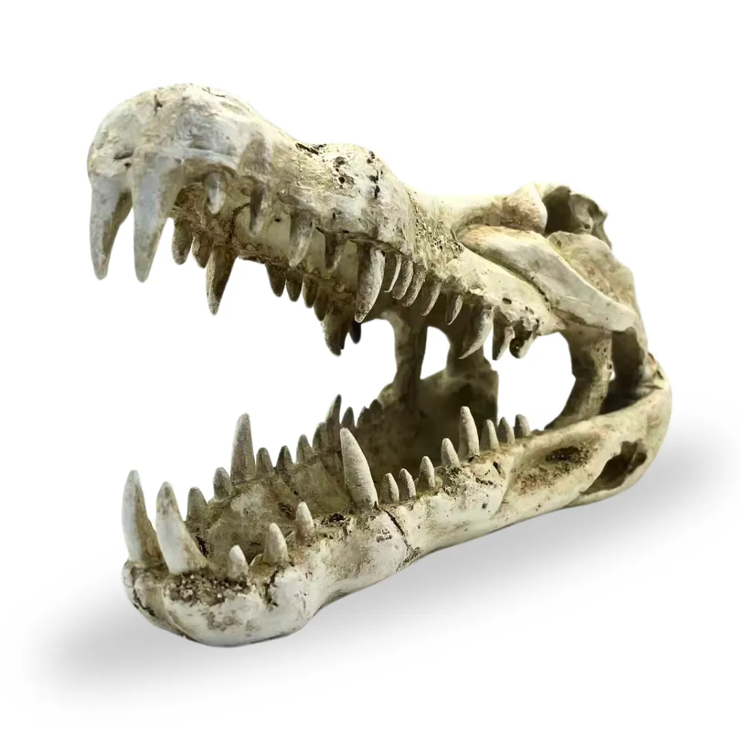 Croc Head Small Reptile Ornament_4
