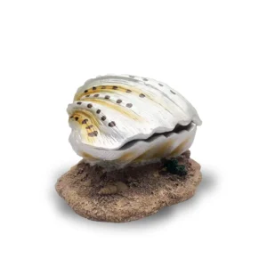 Silver Clam aquarium ornament