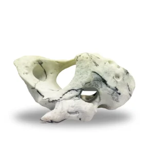 White Rock aquarium ornament