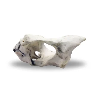 White Rock aquarium ornament