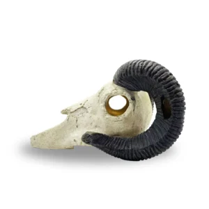 Ram Skull Aquarium Ornament