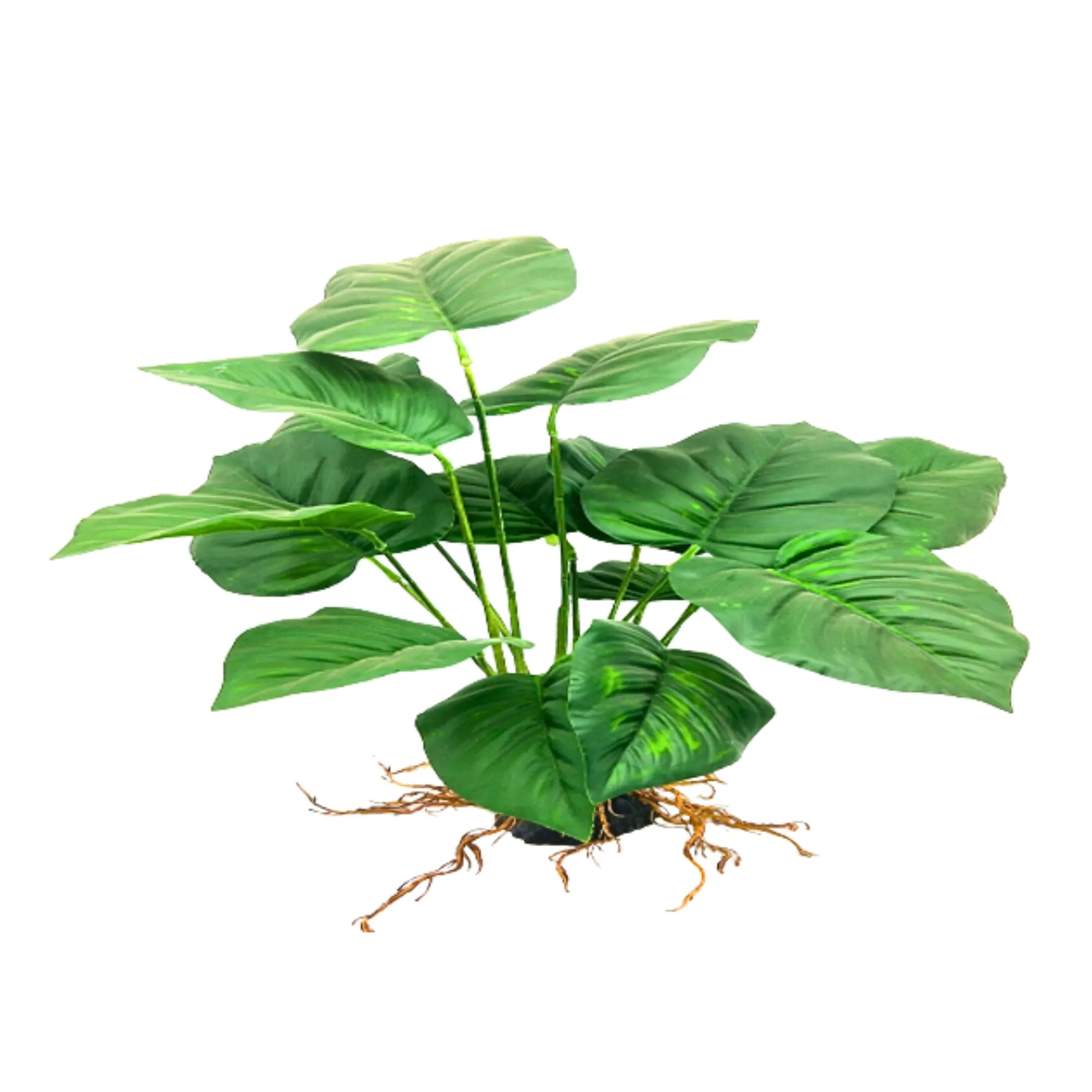 Anubius Plant XL