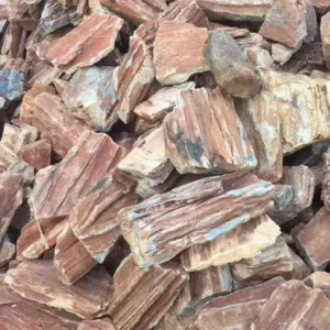 Petrified Wood 20kg